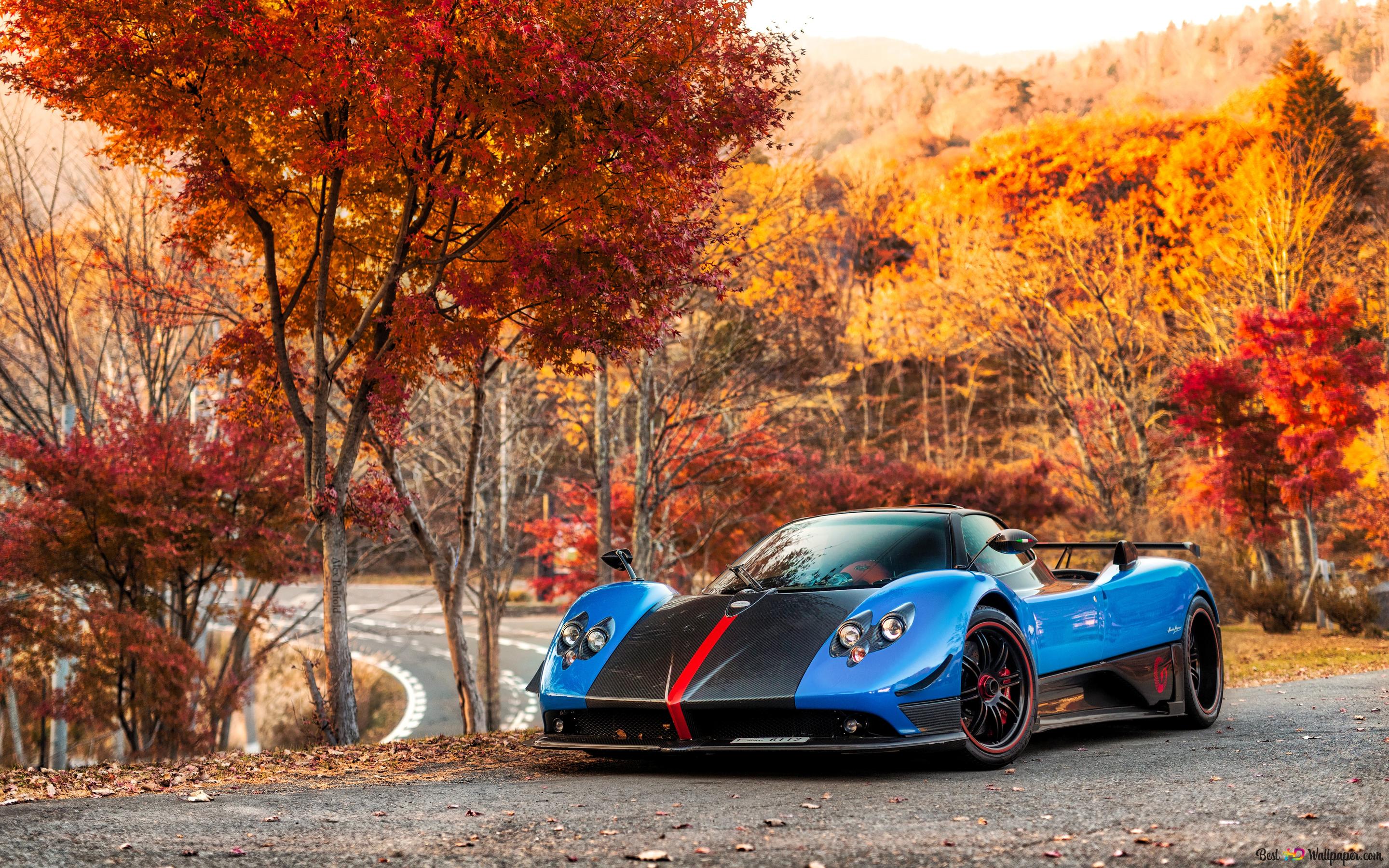 Sonbahar Ağaçları ile Yolda Mavi Pagani Zonda Parkı 4K duvar kağıdı indir