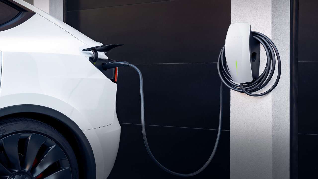 E-Garaj ve Hattat Regis İş Birliği!